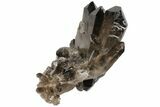 Dark Smoky Quartz Crystal Cluster - Brazil #104087-1